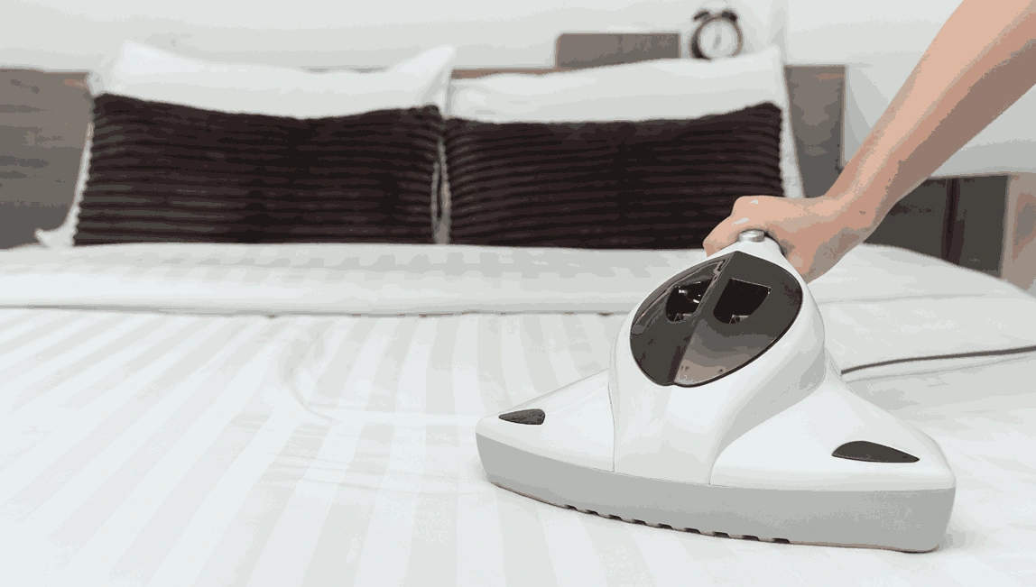 Professional Mattress Cleaning Maryknoll